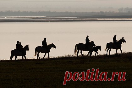В российском регионе откроют конный маршрут. Проект конно-туристического маршрута разработали в Ишимском районе Тюменской области. Гостям предложат путешествие по живописным местам Ишимского района на конях. Туристы смогут полюбоваться горой Любви и увидеть реку Ишим. Проект находится на согласовании в администрации Ишимского района.