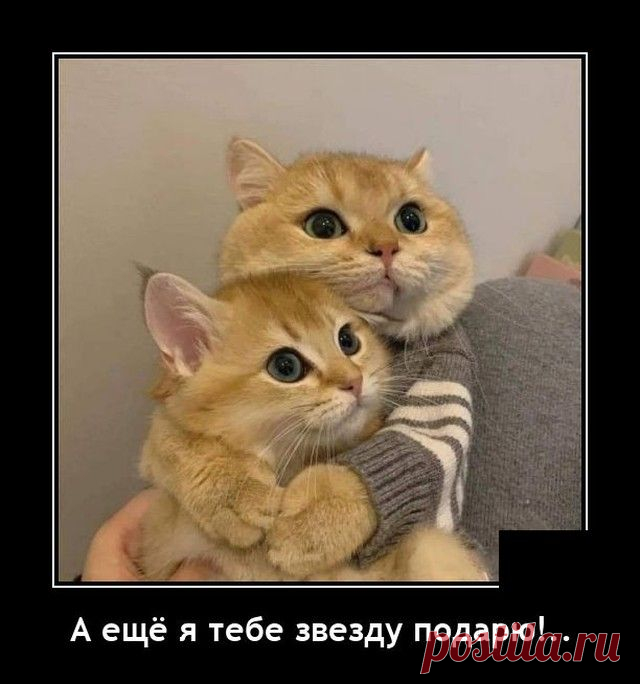 Демотиваторы (04.07.22) - Нет скуки.ру. Юмор, приколы, смешные картинки и разные интересности..