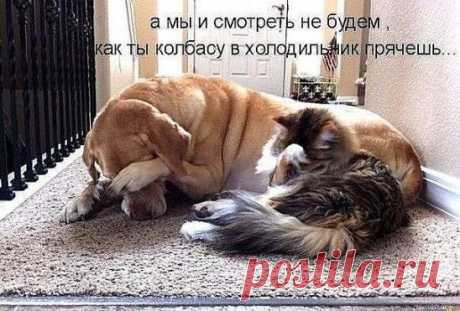 #Юмор