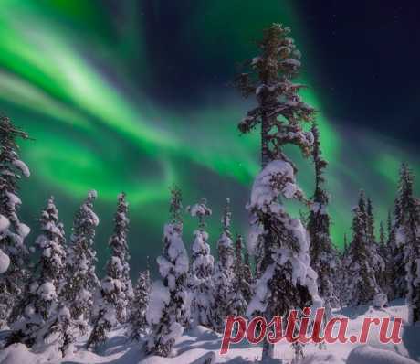 Полярное сияние над Кольским полуостровом. Автор фото — Алексей Васильев: Доброй ночи!