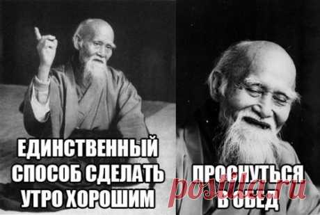 Прикольные фотомемы для хорошего настоения (30 шт)