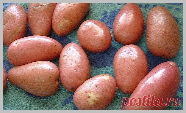 (45) Одноклассники