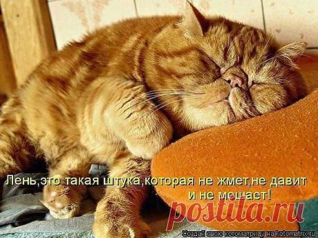 ((((Положительное Настроение))))
Петр Рубашкин