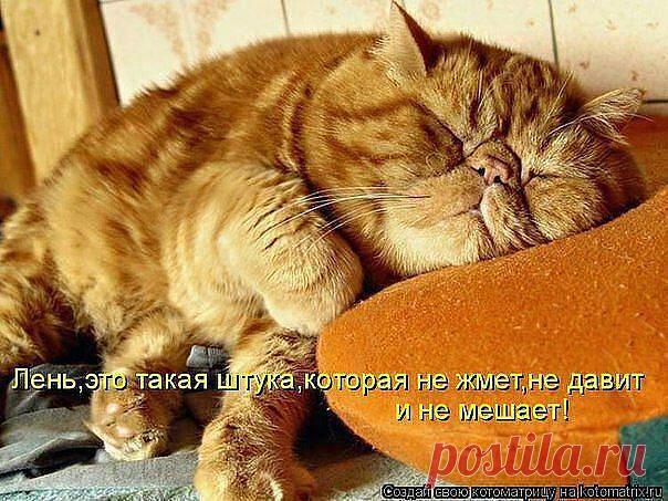 ((((Положительное Настроение))))
Петр Рубашкин