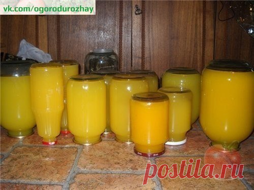 Тыквенный сок с апельсином

Тыква 7 кг (чистого веса, без семечек и кожуры)
вода, у меня ушло 15 литров на это количество тыквы.
апельсины 8 штук

Показать полностью…