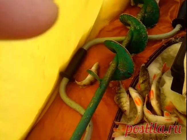 Затон и мормышка - МирТесен