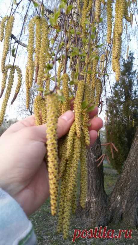 12.04.2018 Часть 2. Львовская область, город Великие Мосты. Весенняя прогулка на велосипеде.