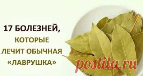 Расскажем о том, как лавр может помочь нашему организму.
1. Снимает напряжение и переутомление
Чтобы расслабиться, успокоиться, снять напряжение и привести в порядок нервы, достаточно поджечь лавровый лист в комнате, и в течение 15—20 минут вдыхать его аромат. Благодаря присутствующим эфирным маслам, лавровый лист обеспечивает необходимый расслабляющий и успокаивающий эффект, не вызывая при этом сонливости, чем «славится» большинство успокоительных лекарств.
2. Выводит мокроту из легких
«Лавру