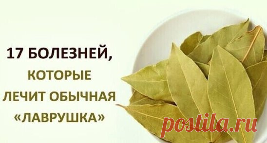 Расскажем о том, как лавр может помочь нашему организму.
1. Снимает напряжение и переутомление
Чтобы расслабиться, успокоиться, снять напряжение и привести в порядок нервы, достаточно поджечь лавровый лист в комнате, и в течение 15—20 минут вдыхать его аромат. Благодаря присутствующим эфирным маслам, лавровый лист обеспечивает необходимый расслабляющий и успокаивающий эффект, не вызывая при этом сонливости, чем «славится» большинство успокоительных лекарств.
2. Выводит мокроту из легких
«Лавру