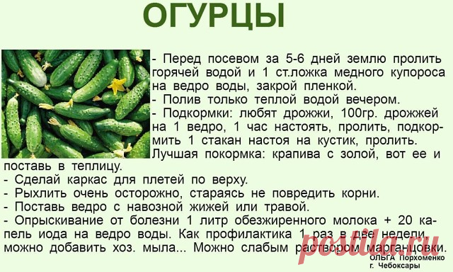 1 непрочитанный чат