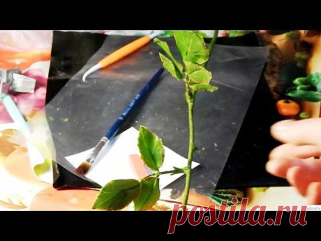 Стебель розы из холодного фарфора