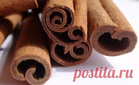 Мифы и правда о корице / Будьте здоровы