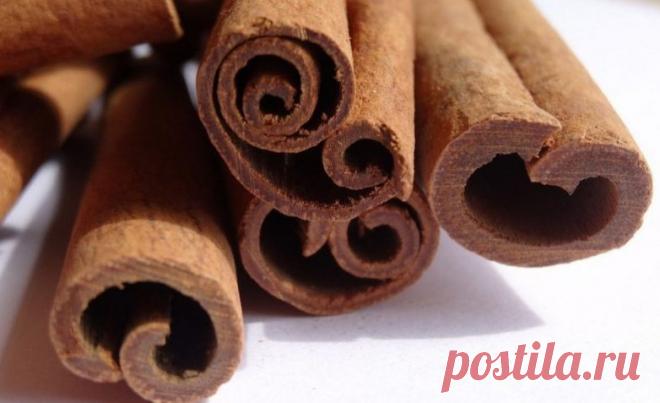 Мифы и правда о корице / Будьте здоровы