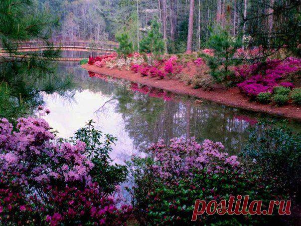 Момент терпения в минуту гнева, предотвращает тысячи моментов сожаления.     ПРИСОЕДИНЯЙТЕСЬ...