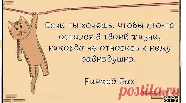 Группа: Хитрости жизни