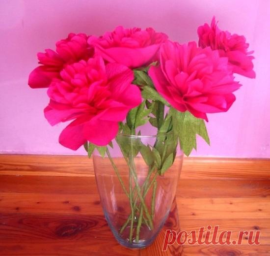 Пионы из гофрированной бумаги своими руками: мастер-класс  | LS