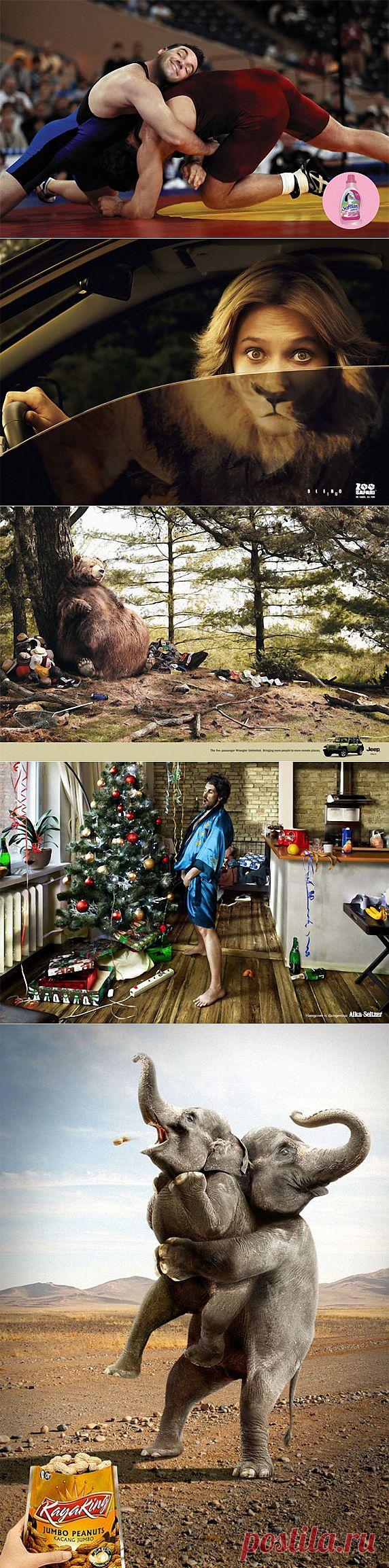 Думаю каждый из нас видел рекламу,но всё же есть такая реклама, которая поразит всех своими странностями, на какие только хитрости не пойдут рекламодатели что бы завлечь потребителя своим товаром и быть всегда на