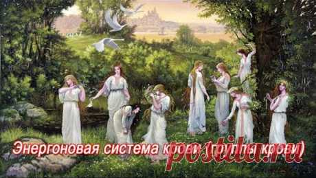 Уроки Асгарда=Резус фактор — рождение детей=Энергоновая система крови (группы крови)