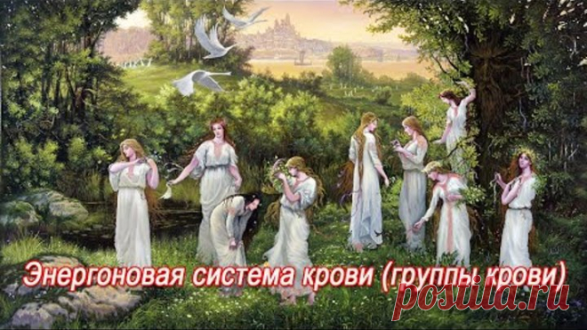 Уроки Асгарда=Резус фактор — рождение детей=Энергоновая система крови (группы крови)