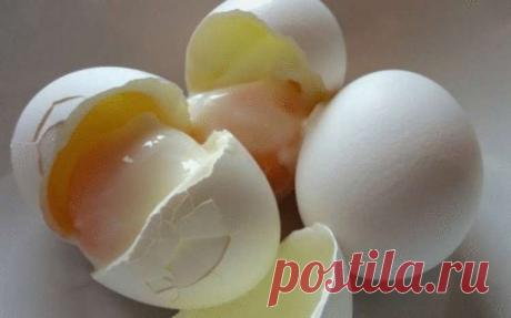 Яичная диета: всего за 2 недели можно убрать до 10 кг — Лепрекон