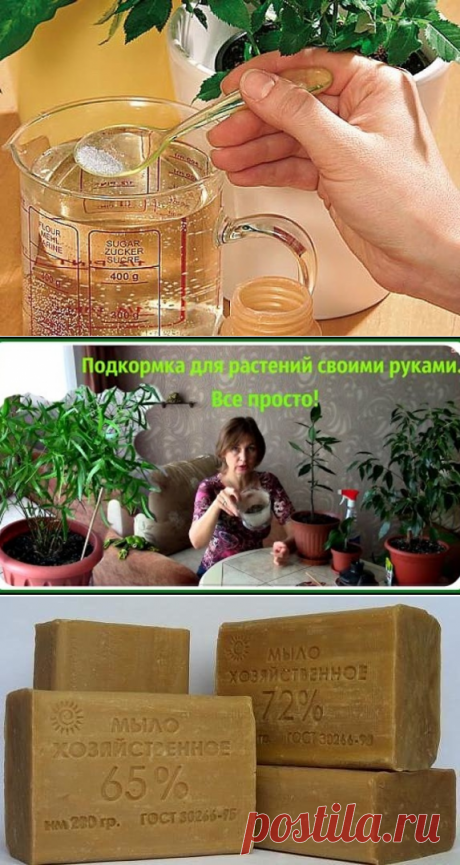 (86) Одноклассники