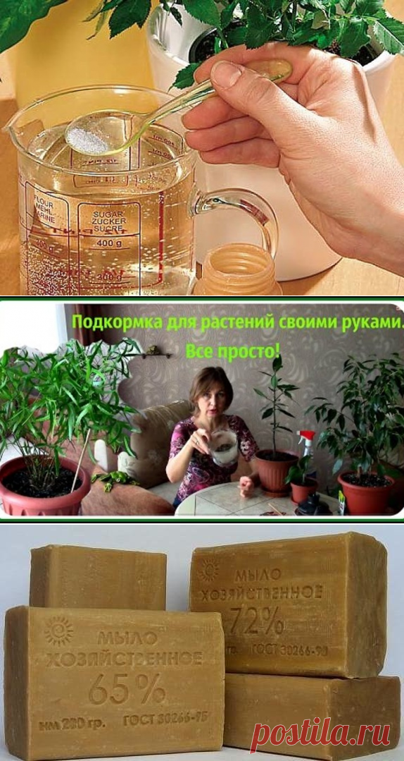 (86) Одноклассники