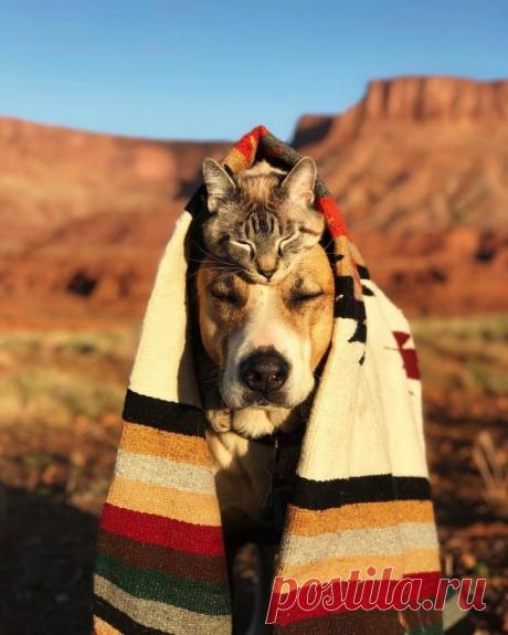 Всецелая гармония