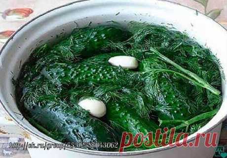 Суточные малосольные огурчики на минералке
Лето – самое время для малосольных огурчиков, упругих и хрустящих. У каждой хозяйки свой рецепт и каждый хорош по-своему.
Солить нужно небольшие, крепкие, молодые огурцы «с пупырышками».
Малосольные огурчики на минералке – это, просто, бомба!
Ингредиенты:
— 1 кг огурцов
— 1 литр минеральной воды
— 2 столовые ложки соли без горки
— укроп
— 5 зубчиков чеснока
Огурцы нужно помыть и обрезать хвостики.

Затем уложить в емкость для засо...