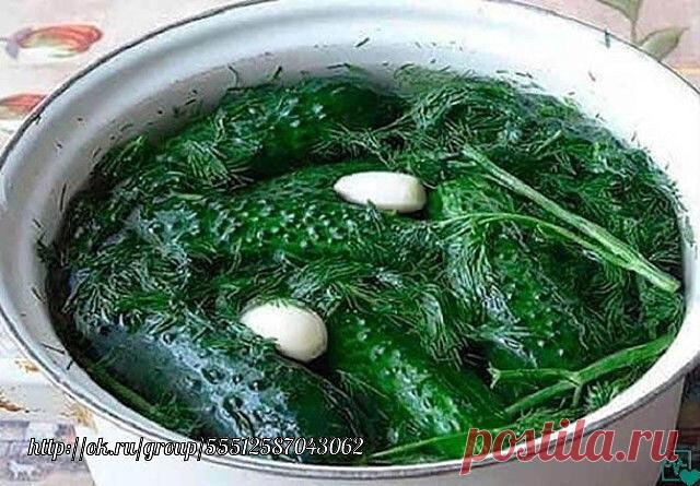 Суточные малосольные огурчики на минералке
Лето – самое время для малосольных огурчиков, упругих и хрустящих. У каждой хозяйки свой рецепт и каждый хорош по-своему.
Солить нужно небольшие, крепкие, молодые огурцы «с пупырышками».
Малосольные огурчики на минералке – это, просто, бомба!
Ингредиенты:
— 1 кг огурцов
— 1 литр минеральной воды
— 2 столовые ложки соли без горки
— укроп
— 5 зубчиков чеснока
Огурцы нужно помыть и обрезать хвостики.

Затем уложить в емкость для засо...