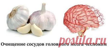 Очищение сосудов головного мозга чесноком - Рецепты лечения от фитотерапевта Халисат Сулеймановой Доброе время суток! Меня зовут Халисат Сулейманова - я фитотерапевт. В 28 лет себя вылечила от рака матки травами (больше про мой опыт выздоровления и почему я стала фитотерапевтом читайте здесь: Моя история). Перед тем как лечиться по народным методам описанным в интернете, просьба, консультируйтесь со специалистом и лечащим врачом! Это сэкономит ваше время и деньги, поскольк...