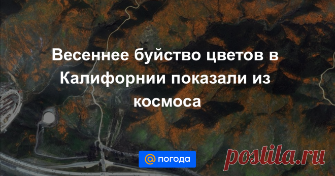 Весеннее буйство цветов в Калифорнии показали из космоса Маки и другие полевые цветы покрывают склоны вдоль каньона Уокер.