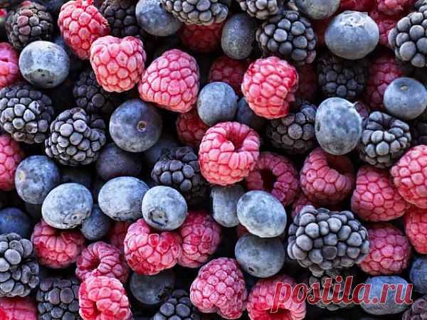 (+1) тема - Свежесть без мороза? Искусство хранения продуктов | Полезные советы
