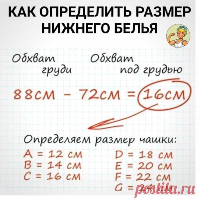 выкройки нужные