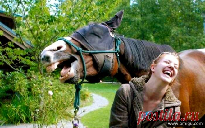 The 20 Most Perfectly Timed Photos