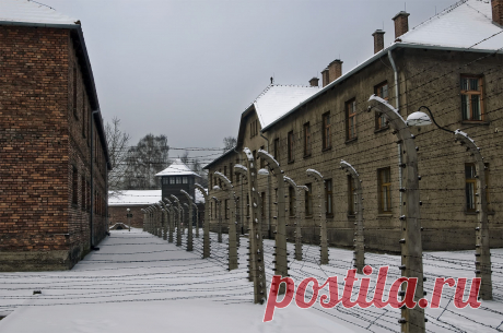 Один директор школы посылал это письмо каждому учителю, которого брал на работу | thePO.ST