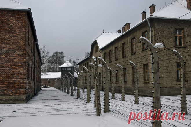 Один директор школы посылал это письмо каждому учителю, которого брал на работу | thePO.ST