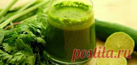 Как сжечь лишний жир в области живота: похудеть на 3 кг за 5 дней легко! - Сайт для женщин