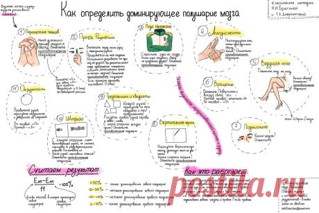 Как определить, какое полушарие мозга доминирует — informed news 24