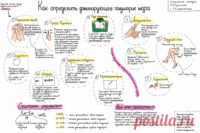 Как определить, какое полушарие мозга доминирует — informed news 24