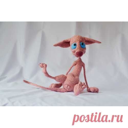 Лысый кот и другие невероятности от Галины Асташовой.