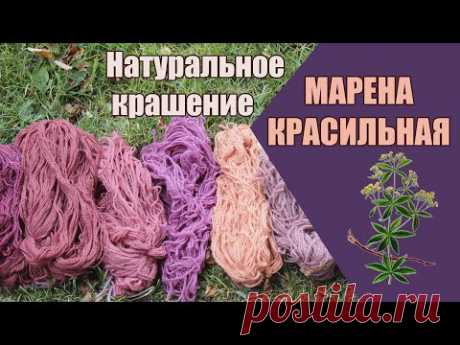 Крашение натуральными красителями ткани, шерсти разными способами