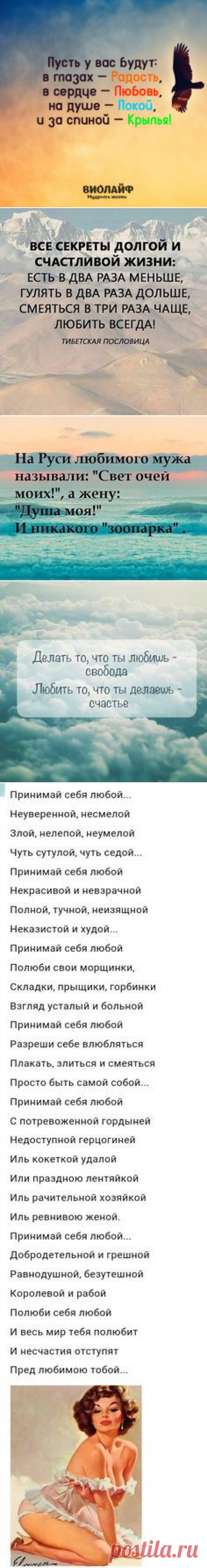 (20) Pinterest