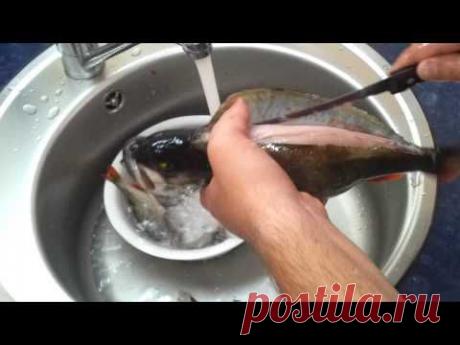 Как быстро почистить окуня