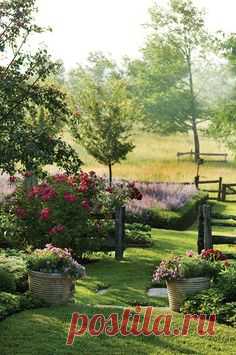 Landscape Ideas | Landscape | Backyard | Front Yard Landscape | Design Ideas | Design | Interior Design | Interiors | Exterior Design | Interior Designer | Plants | Hardscape | Pools | Patio Furniture | Flowers | Water Features | Interior Designer | Design Inspiration | Costa Mesa | Newport Beach | Orange County | California | Design Beautifully!  www.interiordesignbytiffany.com