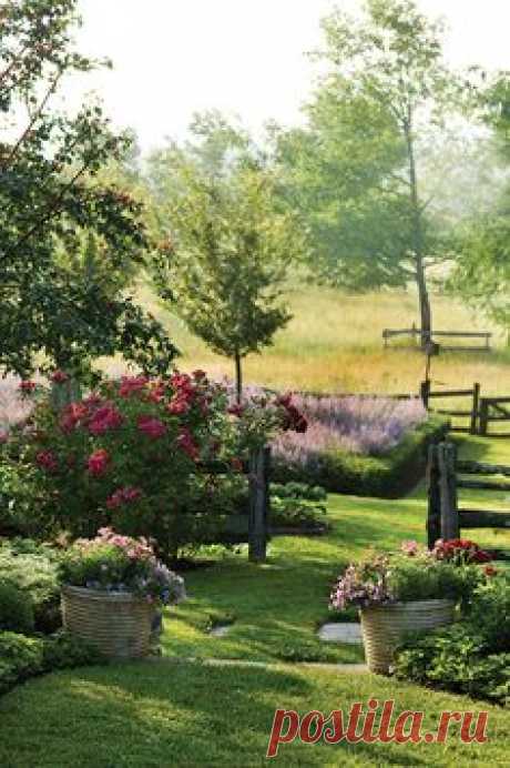 Landscape Ideas | Landscape | Backyard | Front Yard Landscape | Design Ideas | Design | Interior Design | Interiors | Exterior Design | Interior Designer | Plants | Hardscape | Pools | Patio Furniture | Flowers | Water Features | Interior Designer | Design Inspiration | Costa Mesa | Newport Beach | Orange County | California | Design Beautifully!  www.interiordesignbytiffany.com