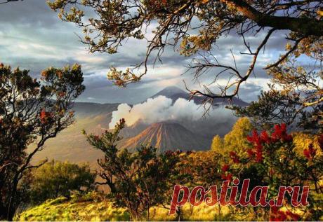 Я соскучился по осени,
И она пришла, румяная:
Поле спелыми колосьями,
На дожде рябина пьяная…

Плачет роща неумытая,
Первой вьюгой хороводится,
Словно летом позабытая,
На ветру дрожит, как модница.                                                                               Е. Солодкий