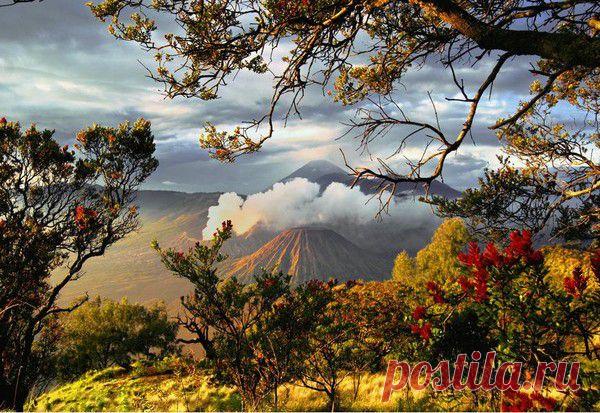 Я соскучился по осени,
И она пришла, румяная:
Поле спелыми колосьями,
На дожде рябина пьяная…

Плачет роща неумытая,
Первой вьюгой хороводится,
Словно летом позабытая,
На ветру дрожит, как модница.                                                                               Е. Солодкий