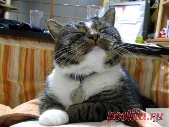 Да,я наглая морда!) И что?))