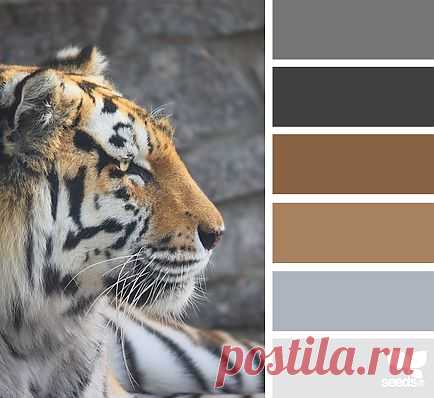 for all who ❤ color | creature tones