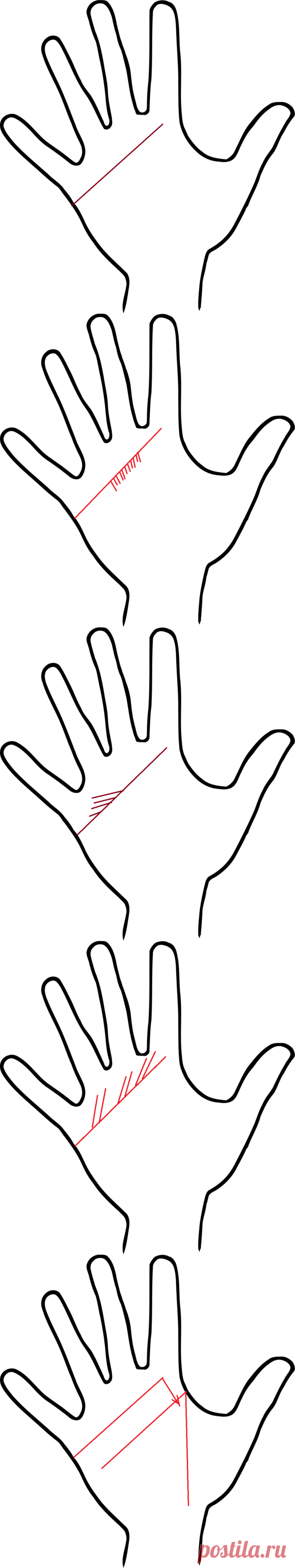 Ответвления от линии Сердца | Леля Сережкина | Яндекс Дзен